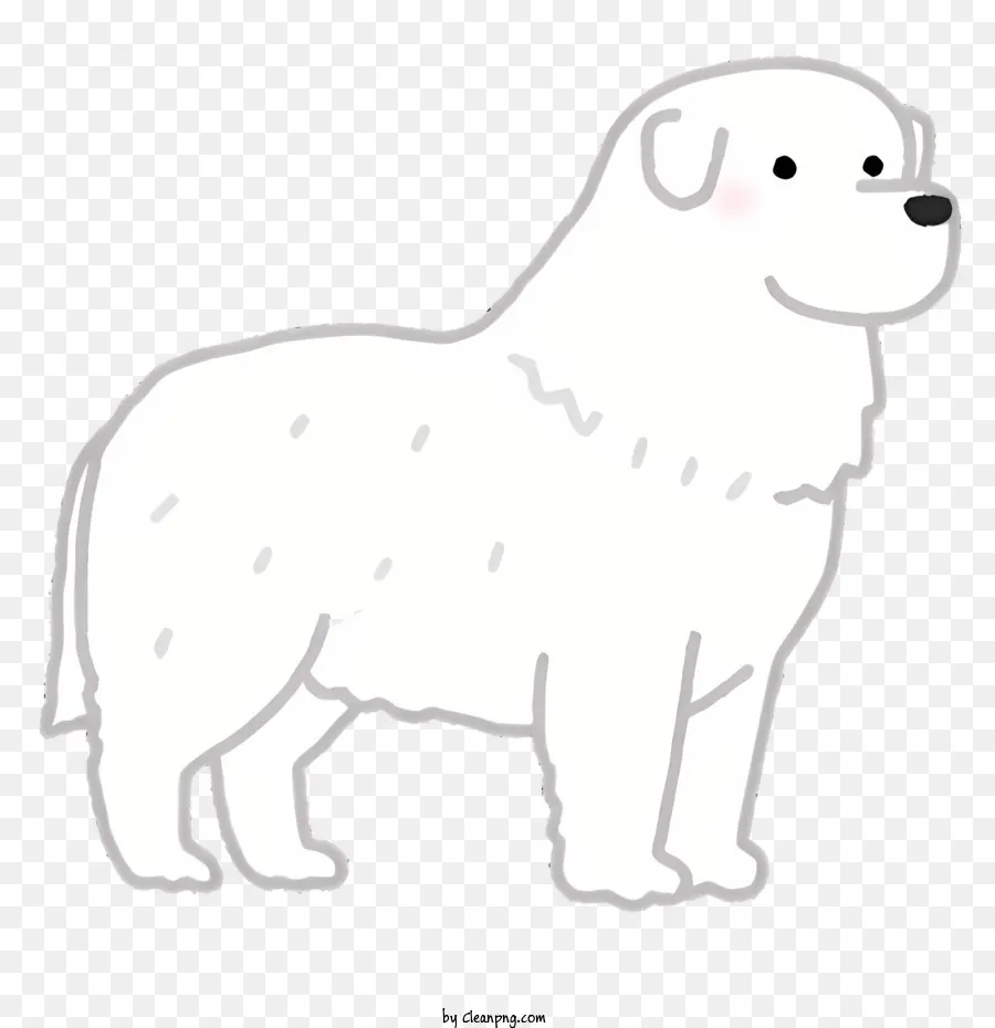 Perro，Perro Blanco PNG