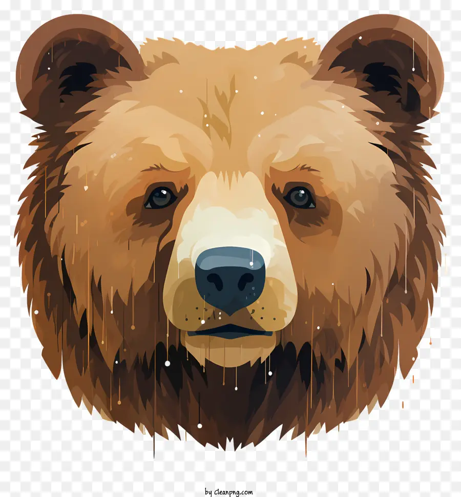 Retrato De Oso，Oso Pardo PNG