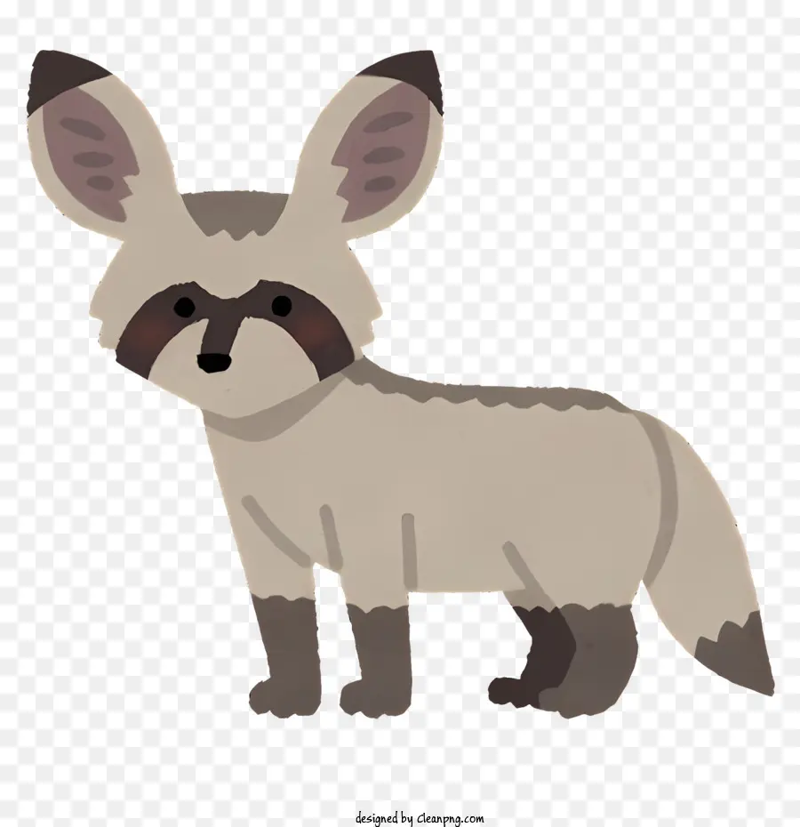 Mapache，Animal PNG