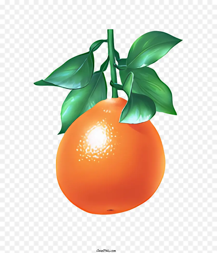 Fruta，Gac PNG