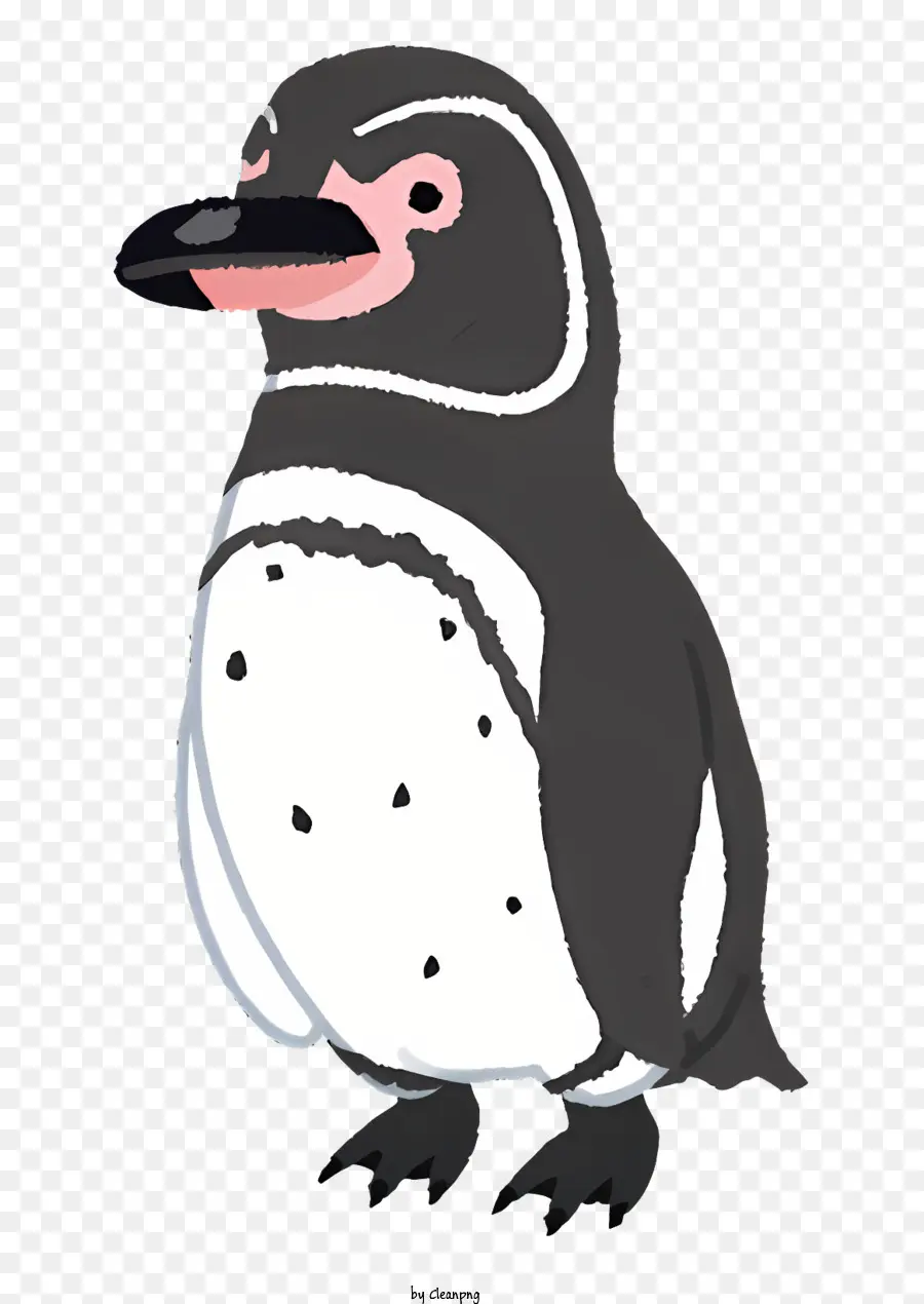 Pingüino，Pájaro PNG