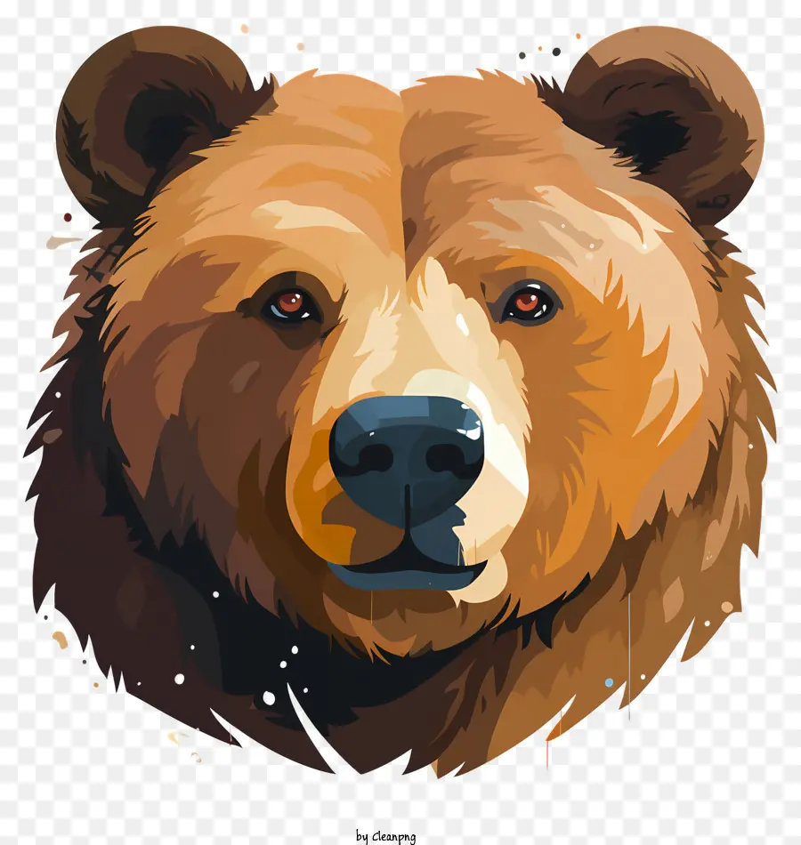 Retrato De Oso，Oso Pardo PNG