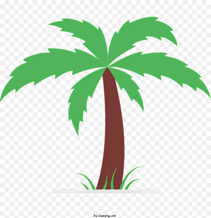 Palmera，Hojas PNG