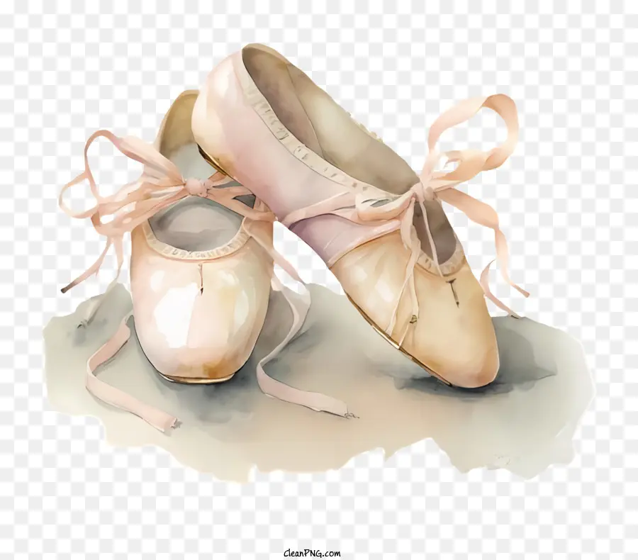 Zapatos De Ballet，Zapatillas De Ballet PNG