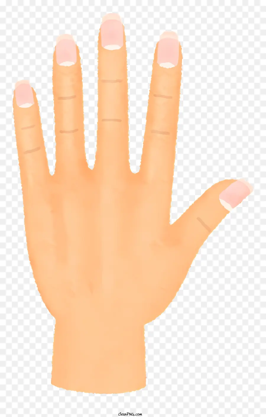 De La Mano，Los Dedos PNG