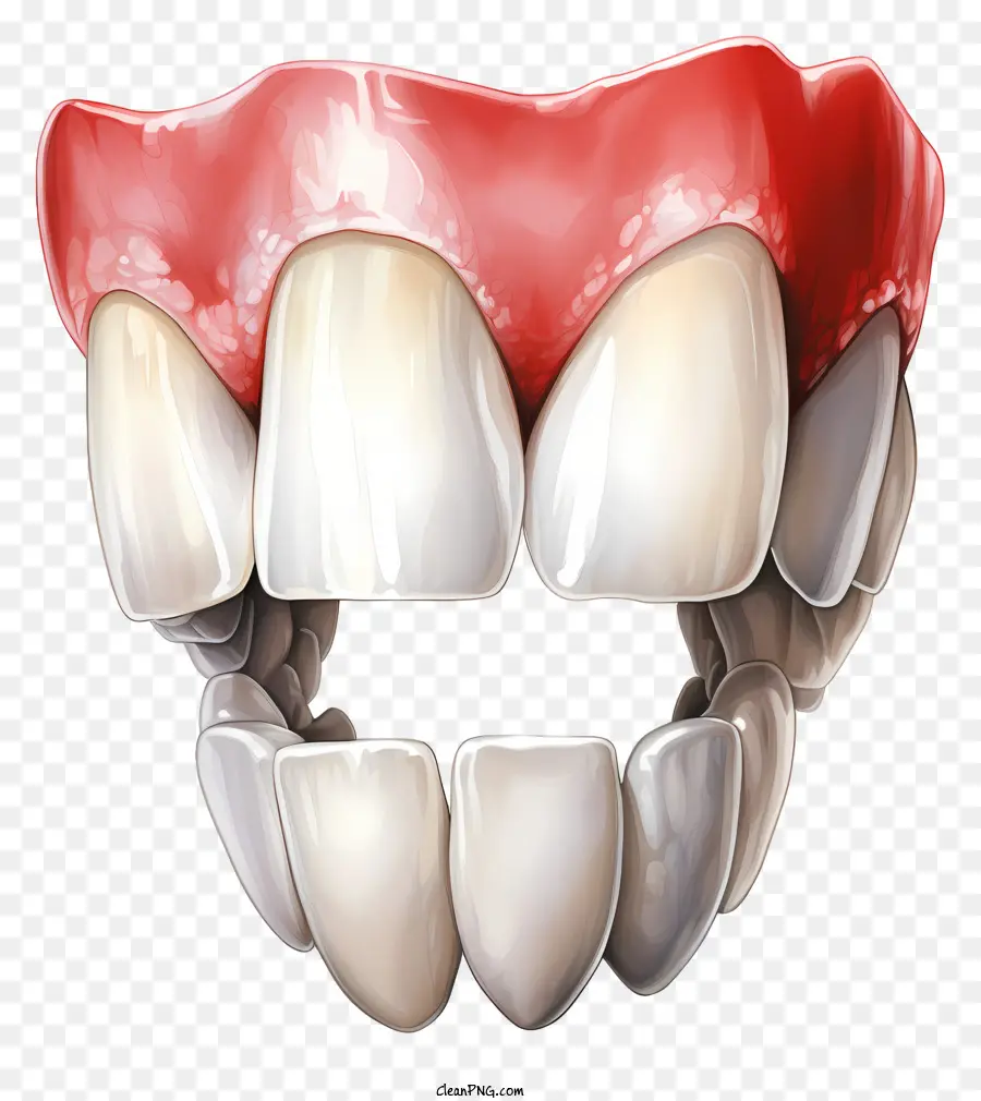 Dientes De Acuarela，Gráfico Dental PNG