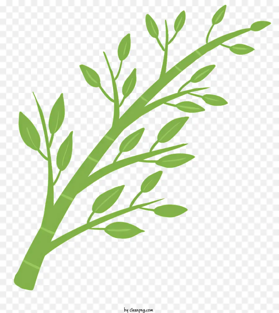 Las Plantas De Bambú，Hojas Verdes PNG