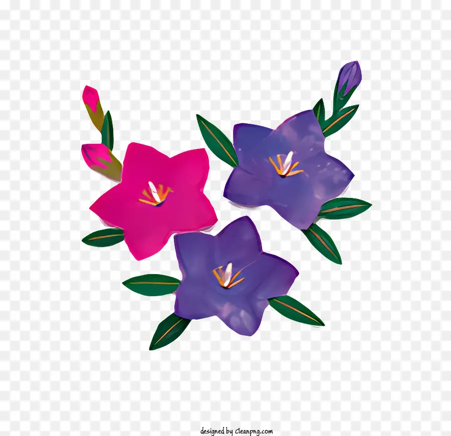 Flor，Flores PNG