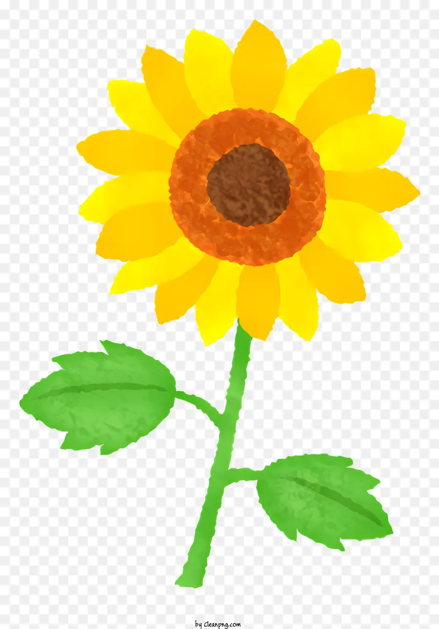 Girasol，De Cerca PNG