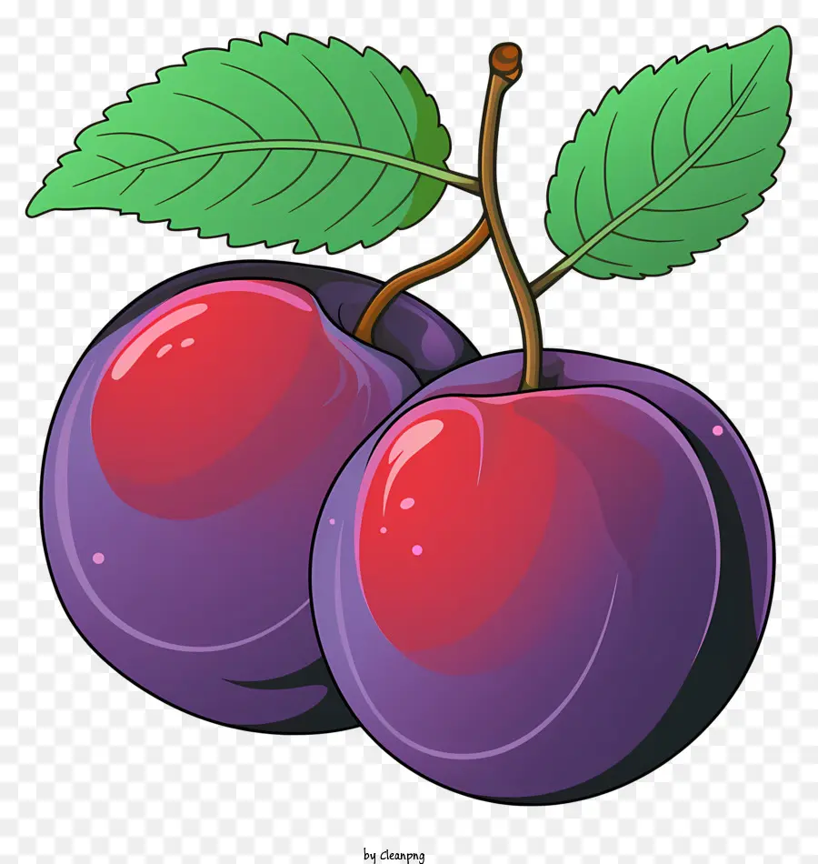 Ciruela Estilo Boceto，Cereza PNG