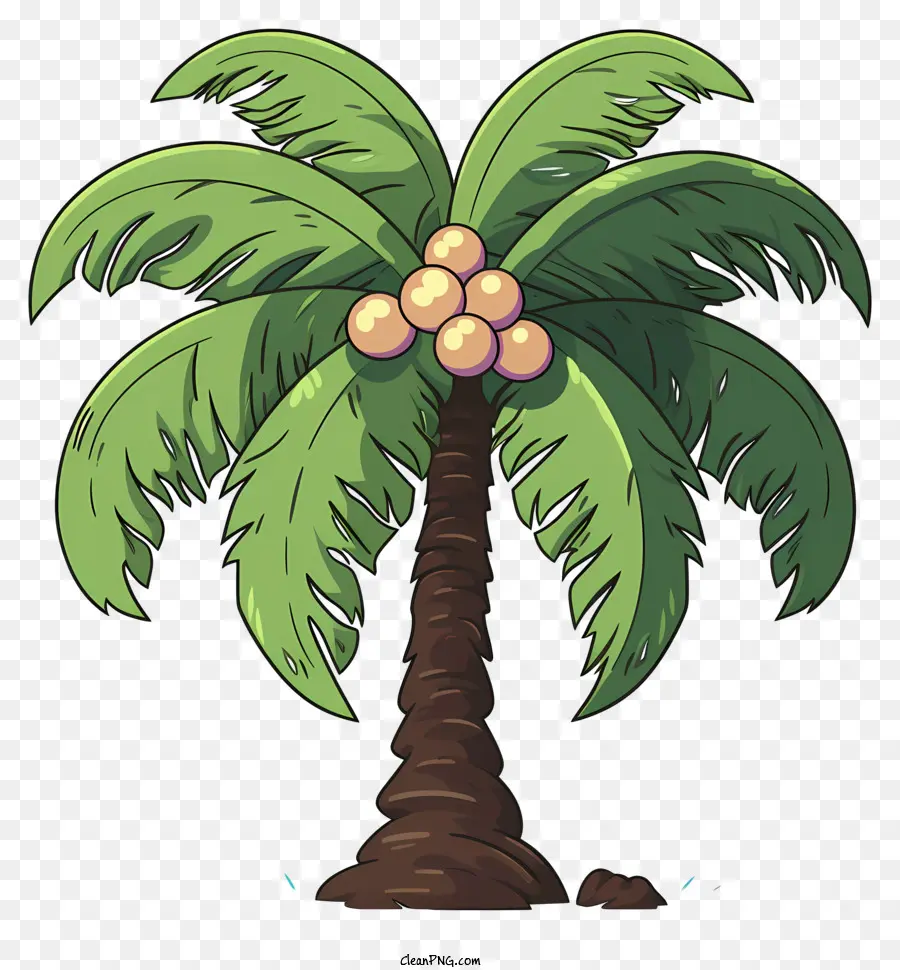 árbol De Coco Estilo Boceto，Palmera PNG