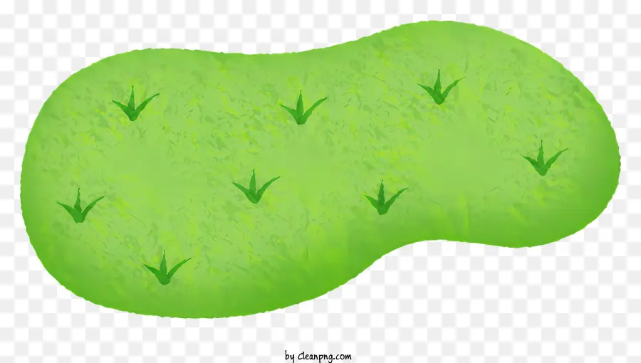 Césped，Estanque Verde PNG