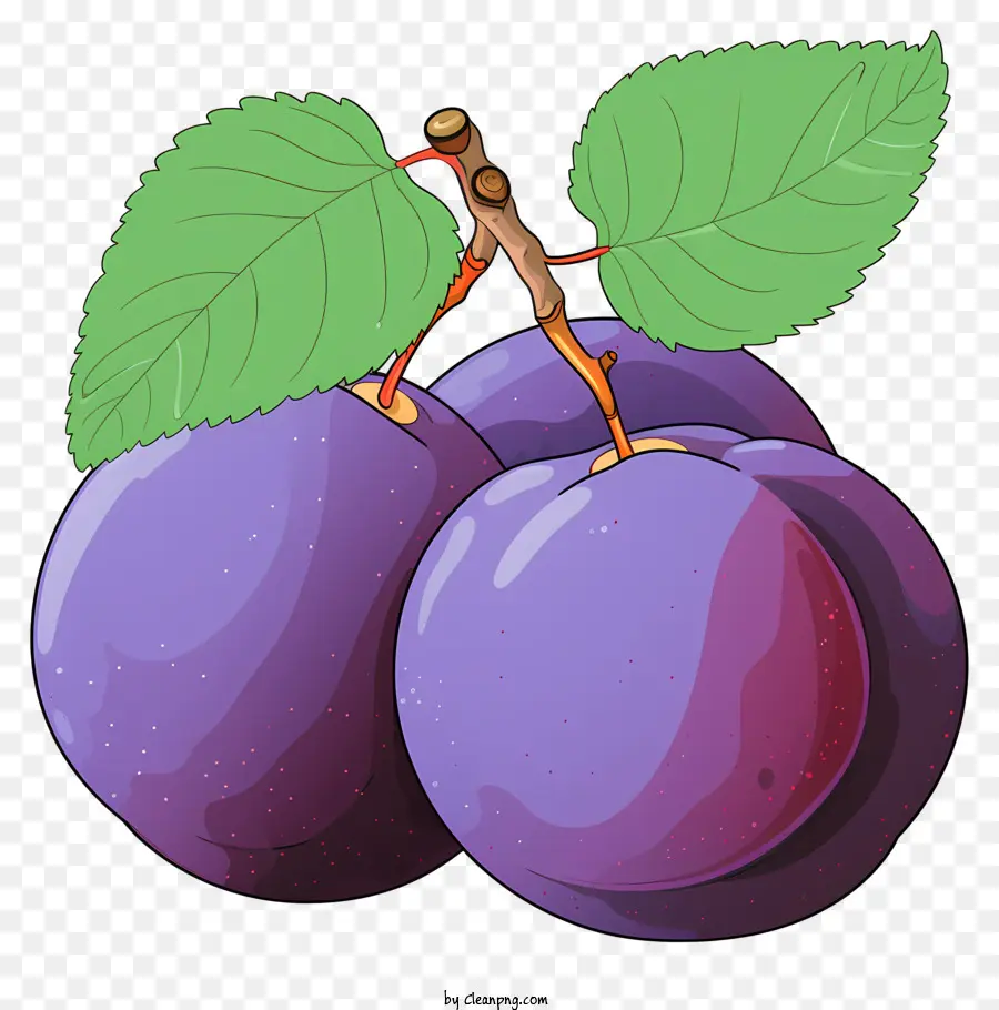 Plum De Estilo De Boceto，Ciruelas PNG