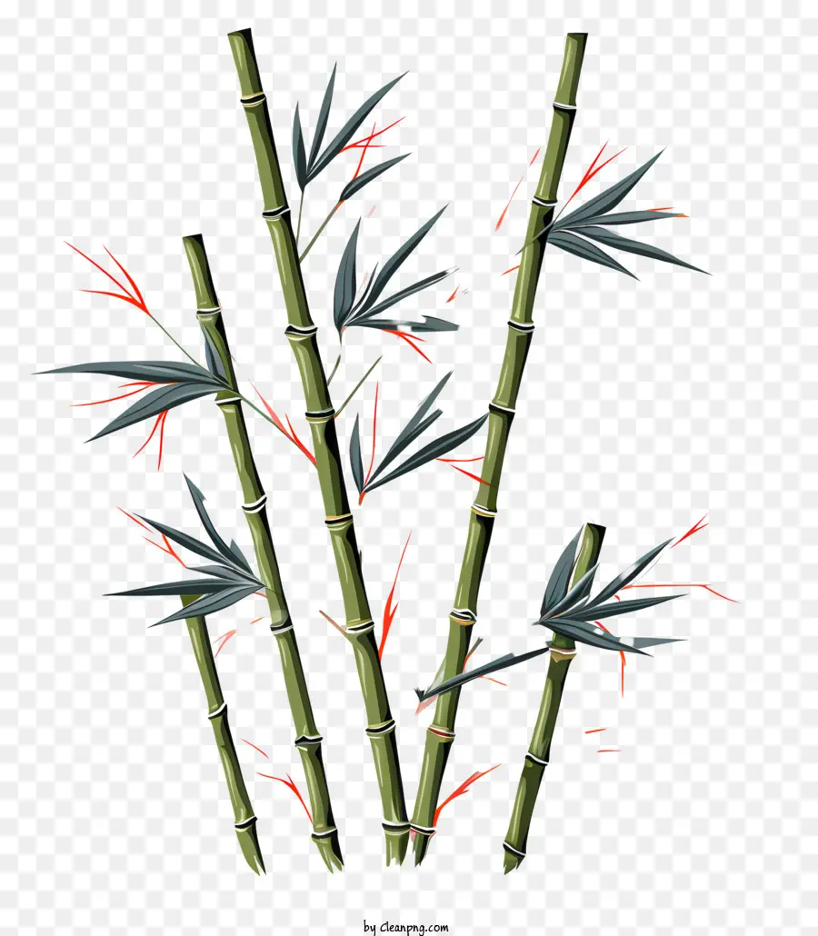 Tallo De Bambú De Estilo Boceto，Las Plantas De Bambú PNG