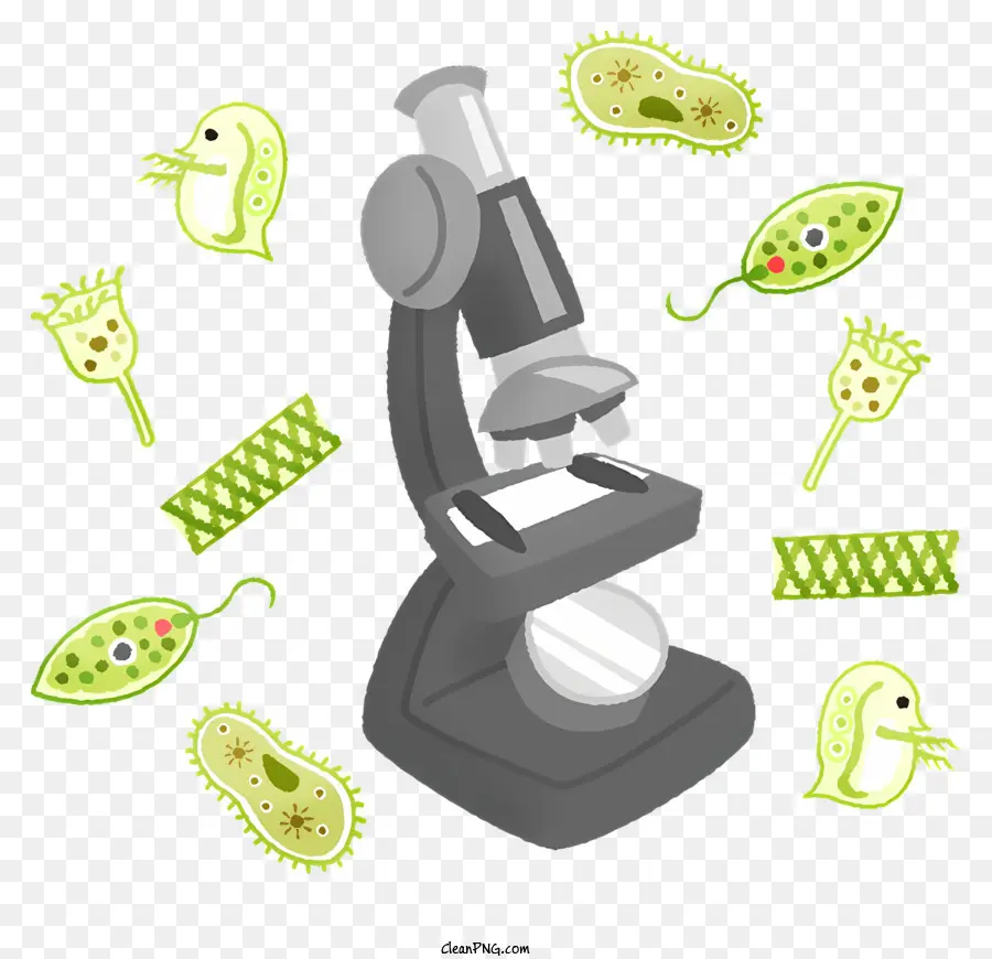 Microscopio，Las Bacterias PNG