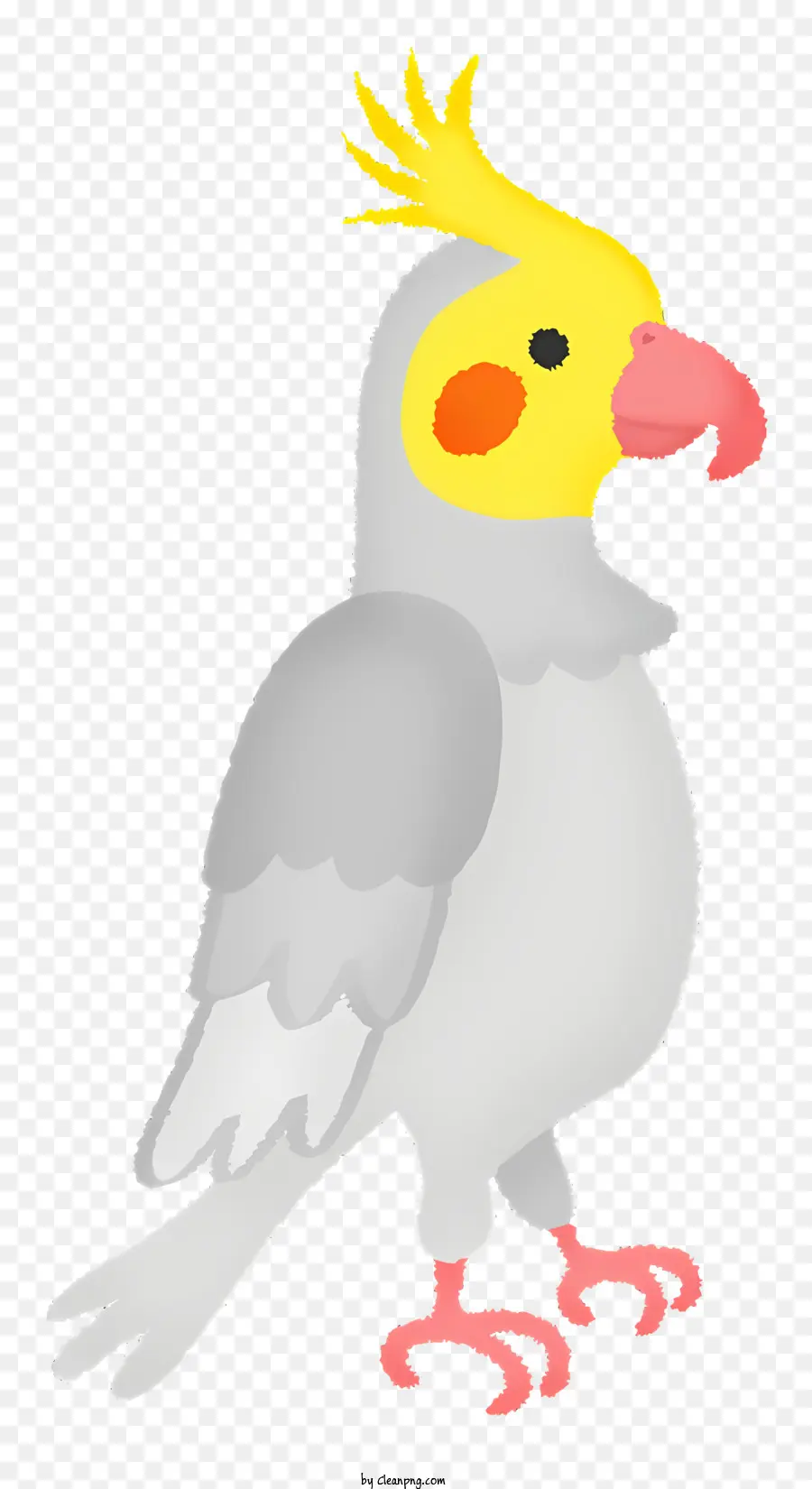 Loro Gris，Loro Emplumado PNG