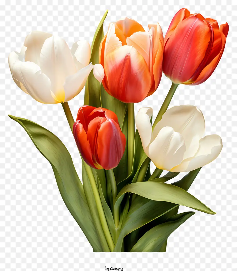 Pinturas Multicolores Bouquet Tulips，Los Tulipanes PNG