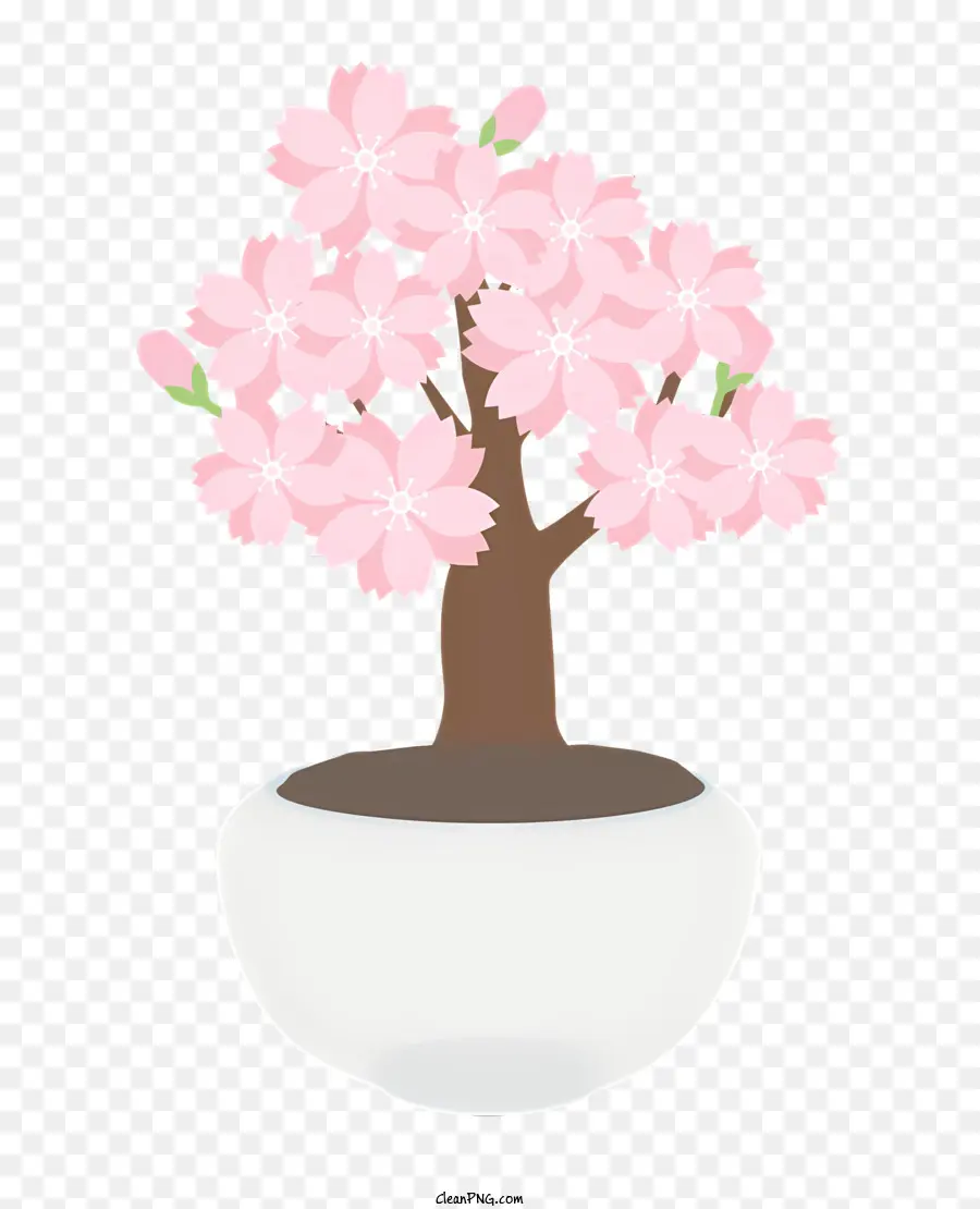 Icono，Bonsái De Flor De Cerezo PNG