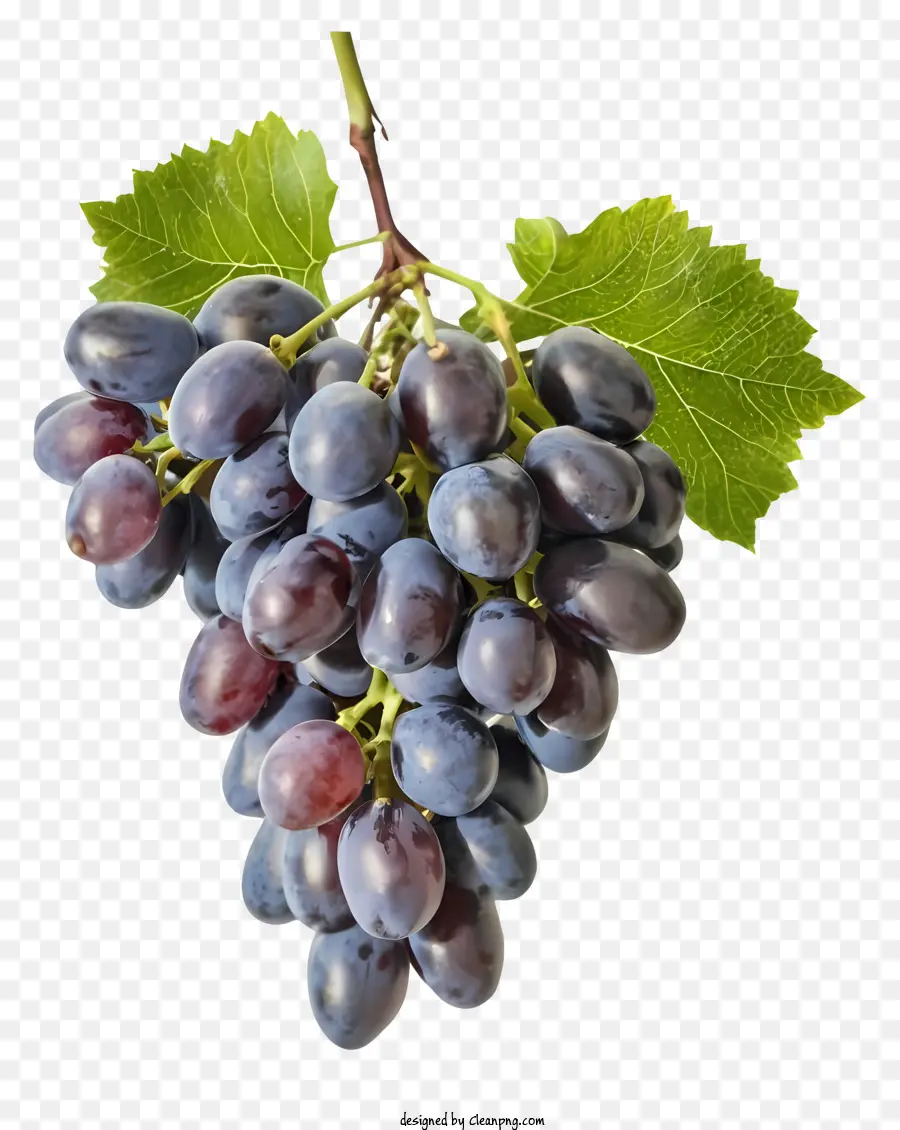 Ciruela Plana，Uvas Rojas PNG