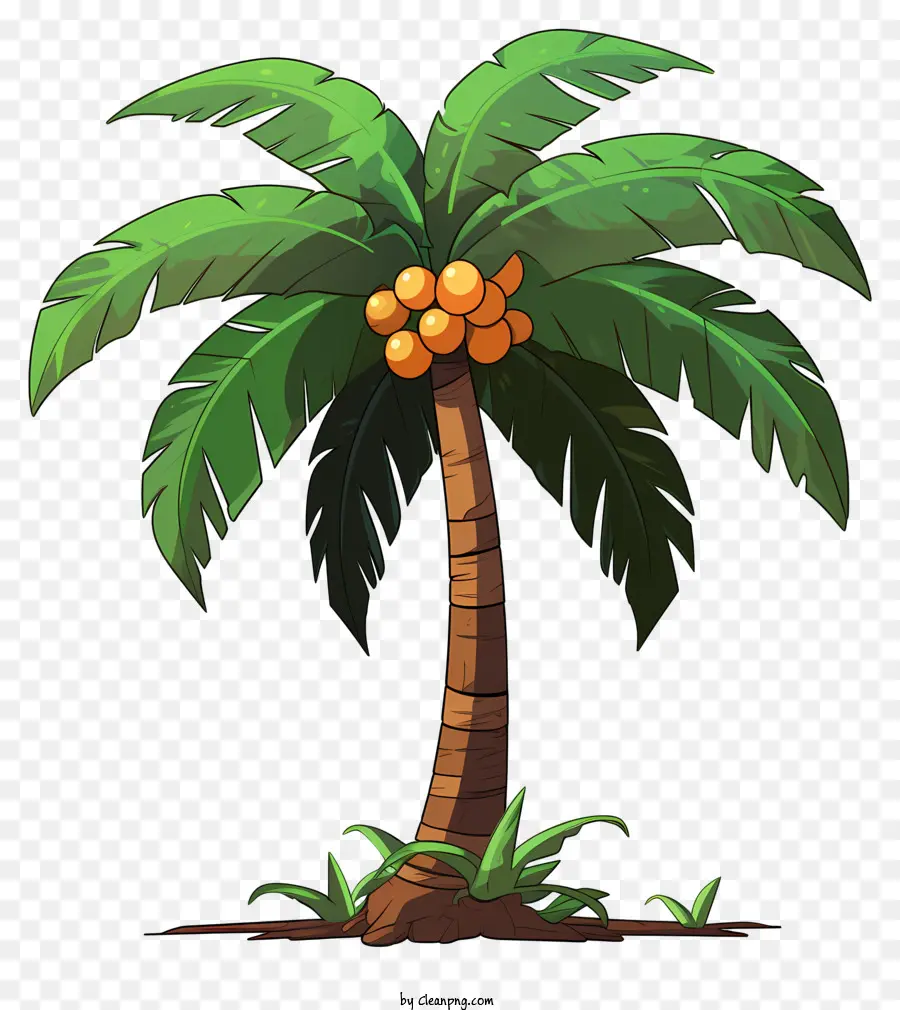 árbol De Coco Estilo Boceto，Palmera PNG