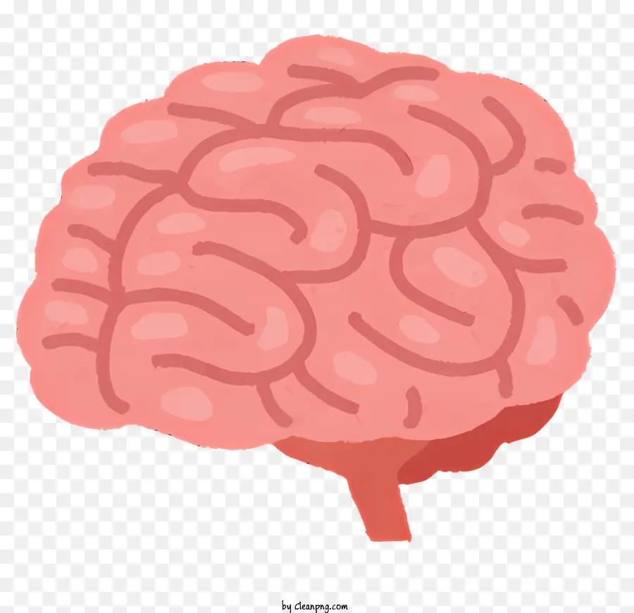 Cuerpo，El Cerebro Humano PNG