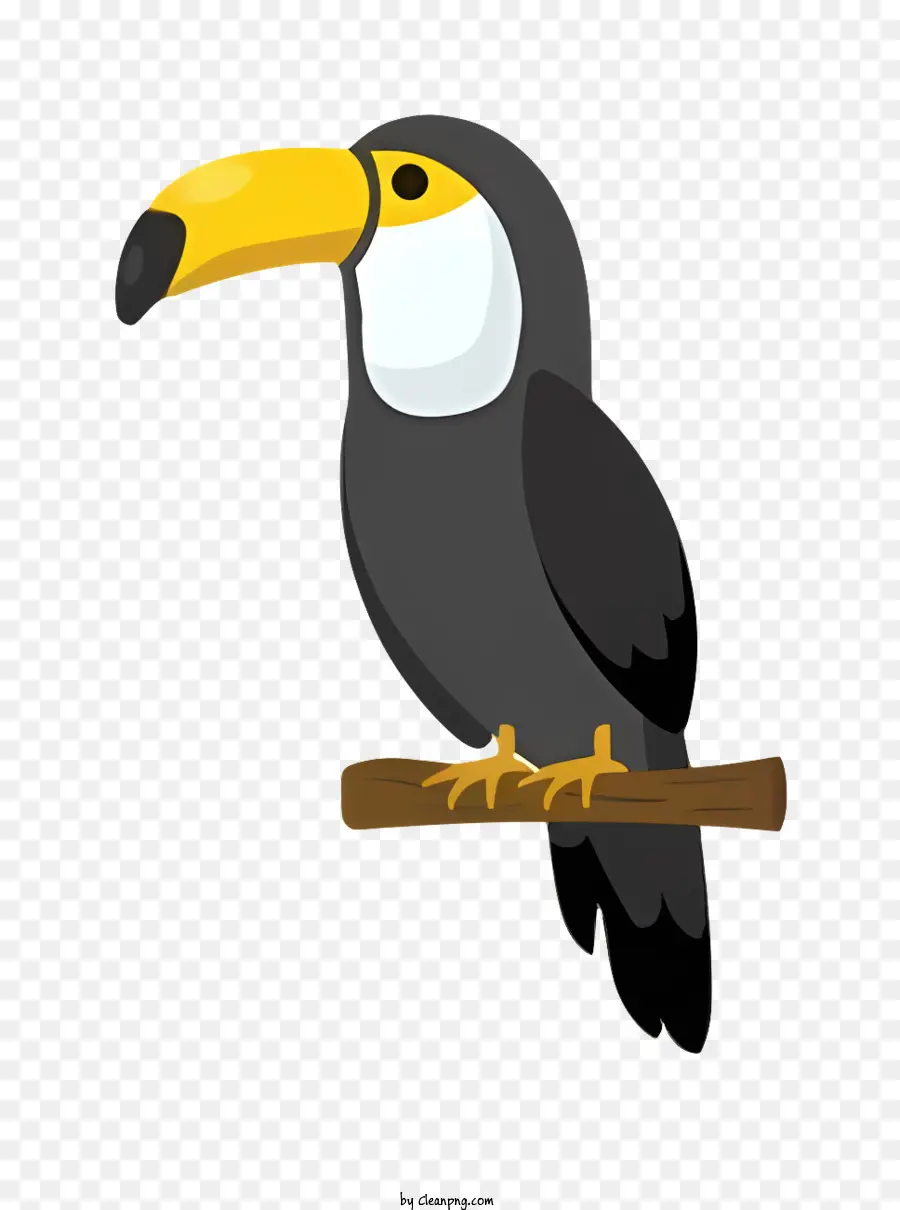 Loro Pájaro，Tucán PNG