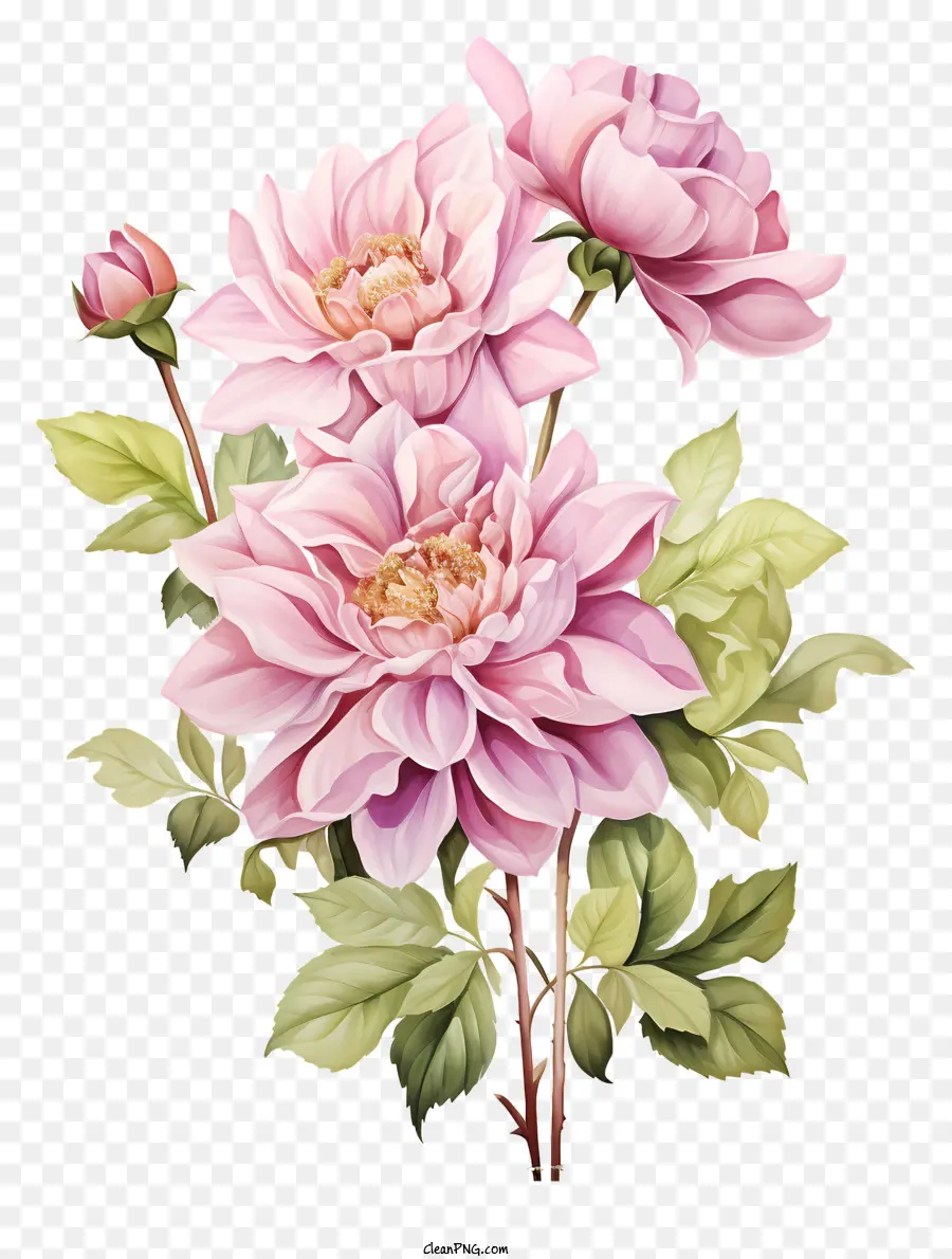 Acuarela De Flores De Color Rosa，Ramo PNG