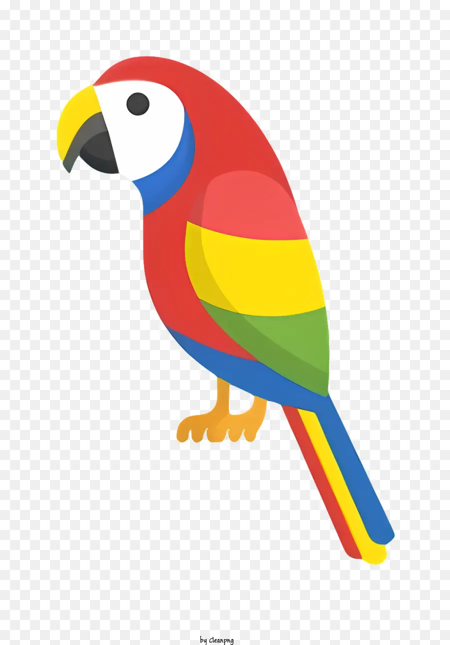 Loro De Pájaros，Loro Arcoiris PNG