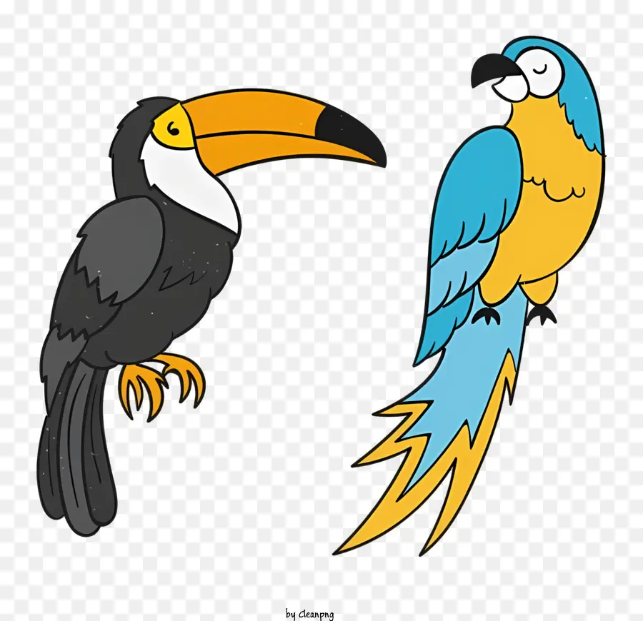 Loro De Pájaros，Aves PNG