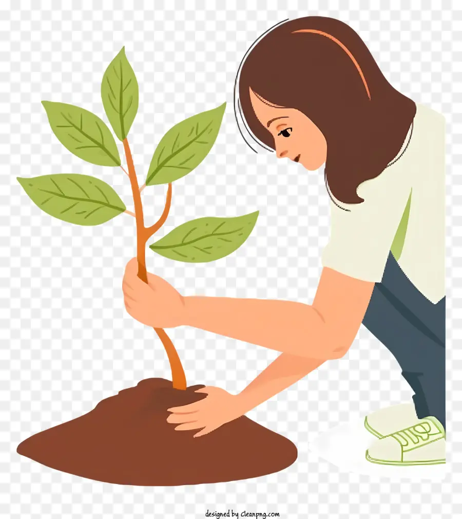 Ilustración De Vector Plano Minimalizado，árbol De Plantación PNG