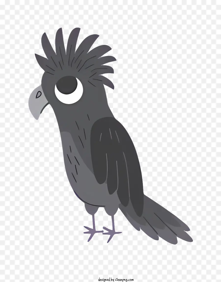 Loro De Pájaros，Loro Gris PNG