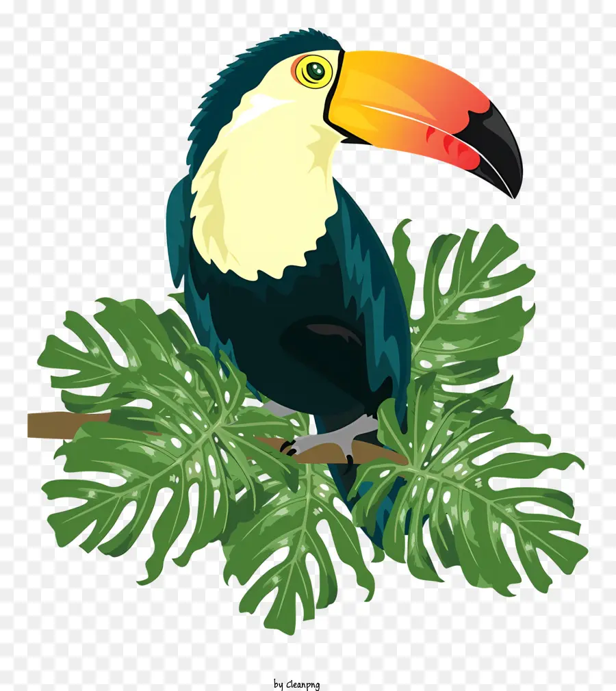 Loro De Pájaros，Pájaro Grande PNG