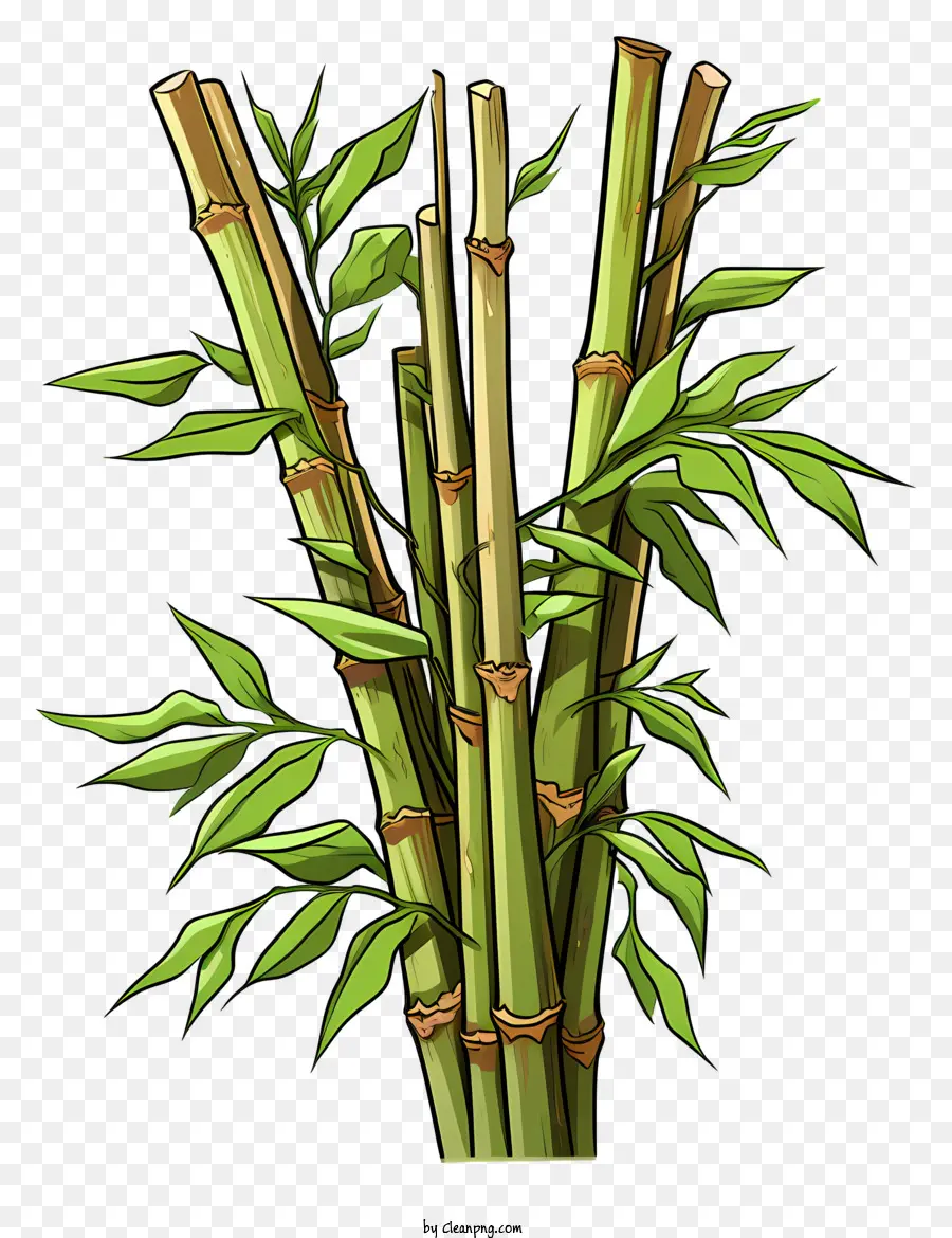 Tallo De Bambú De Estilo Boceto，Las Plantas De Bambú PNG