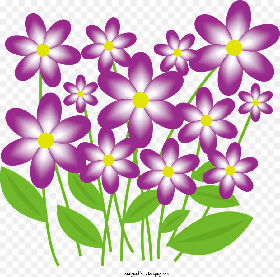 Flores De Color Púrpura，Ramo PNG