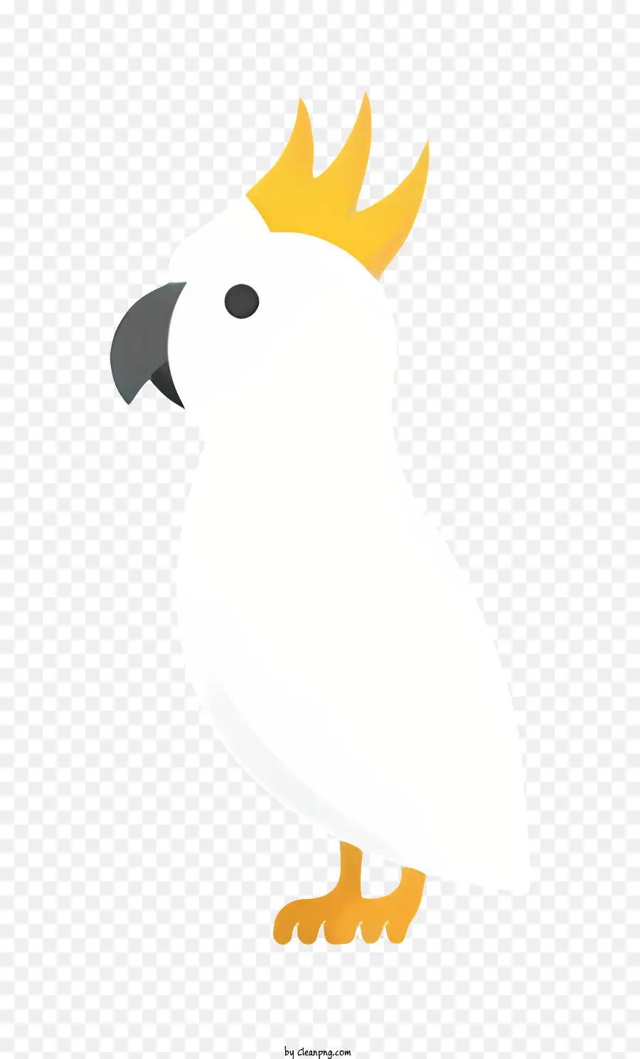 Loro De Pájaros，Pájaro Blanco PNG
