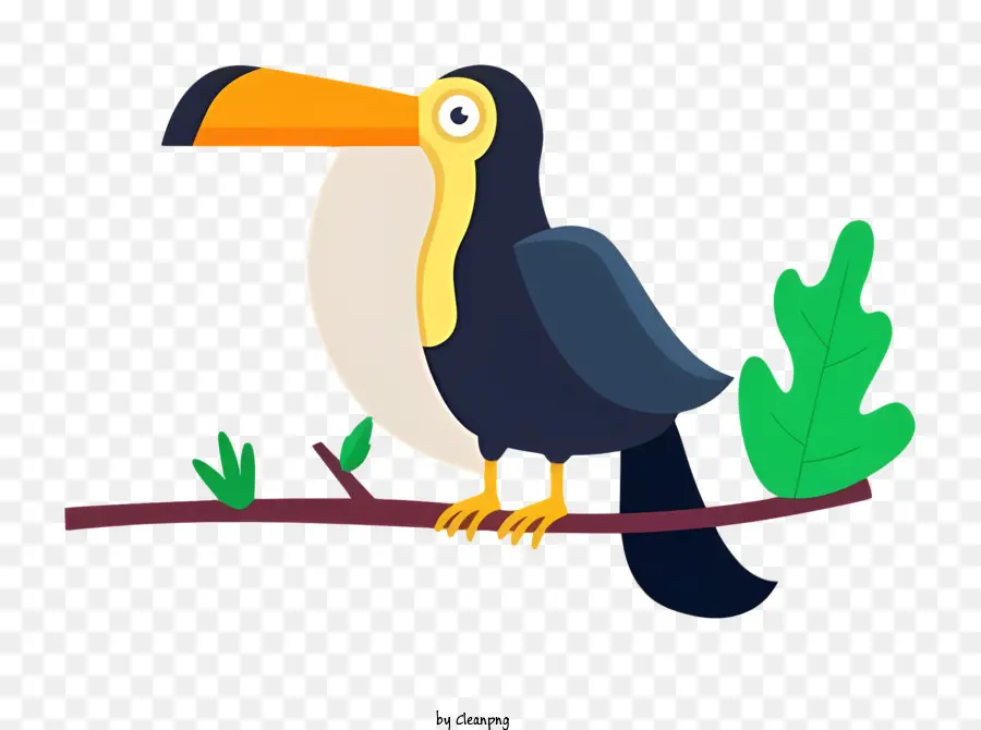 Loro Pájaro，Tucán Negro Y Amarillo PNG