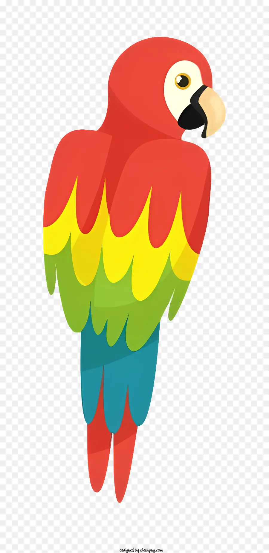 Loro De Pájaros，Loro Colorido PNG