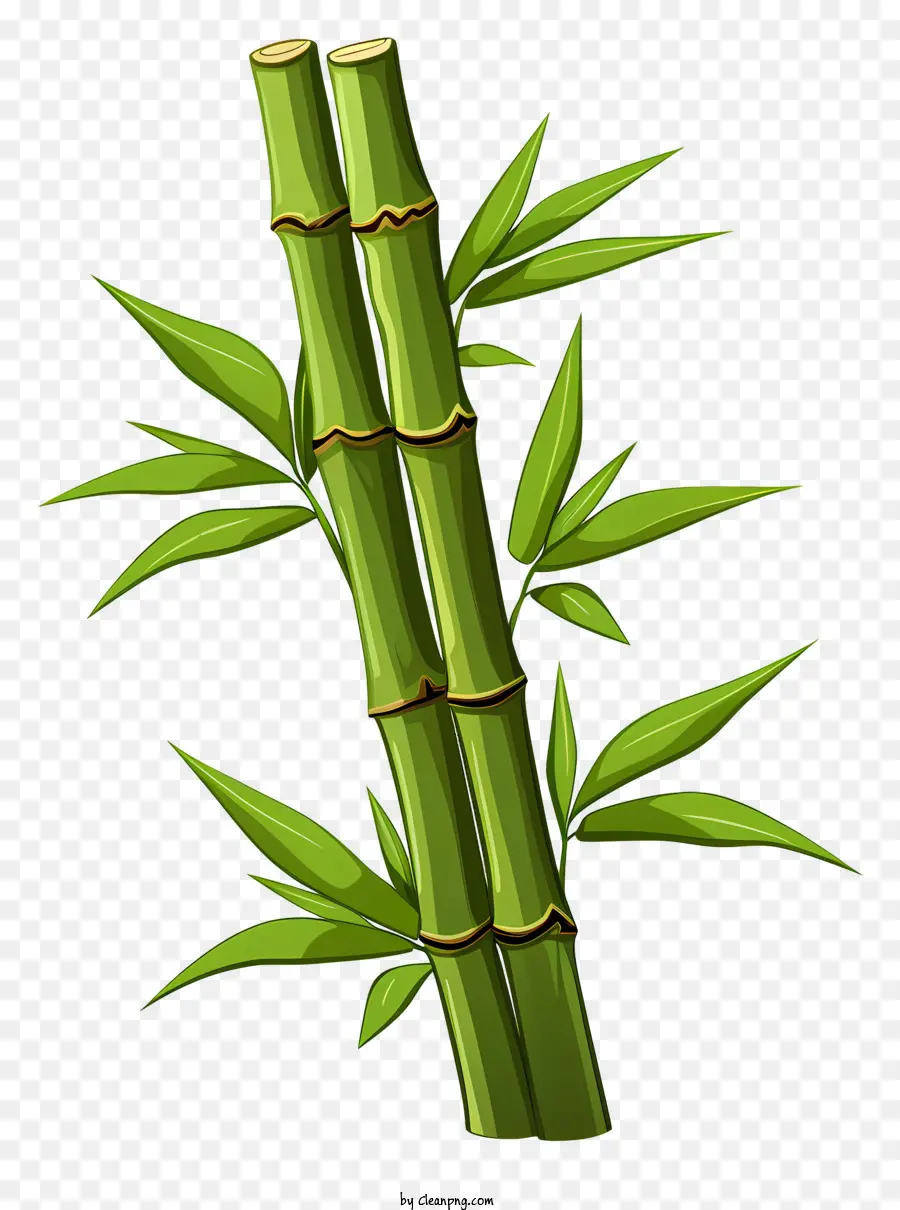 Tallo De Bambú De Estilo Doodle，Las Plantas De Bambú PNG