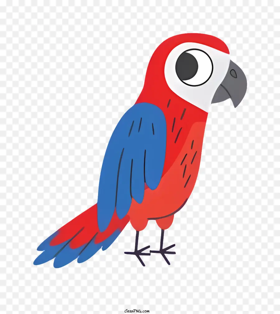 Loro De Pájaros，De Dibujos Animados De Aves PNG
