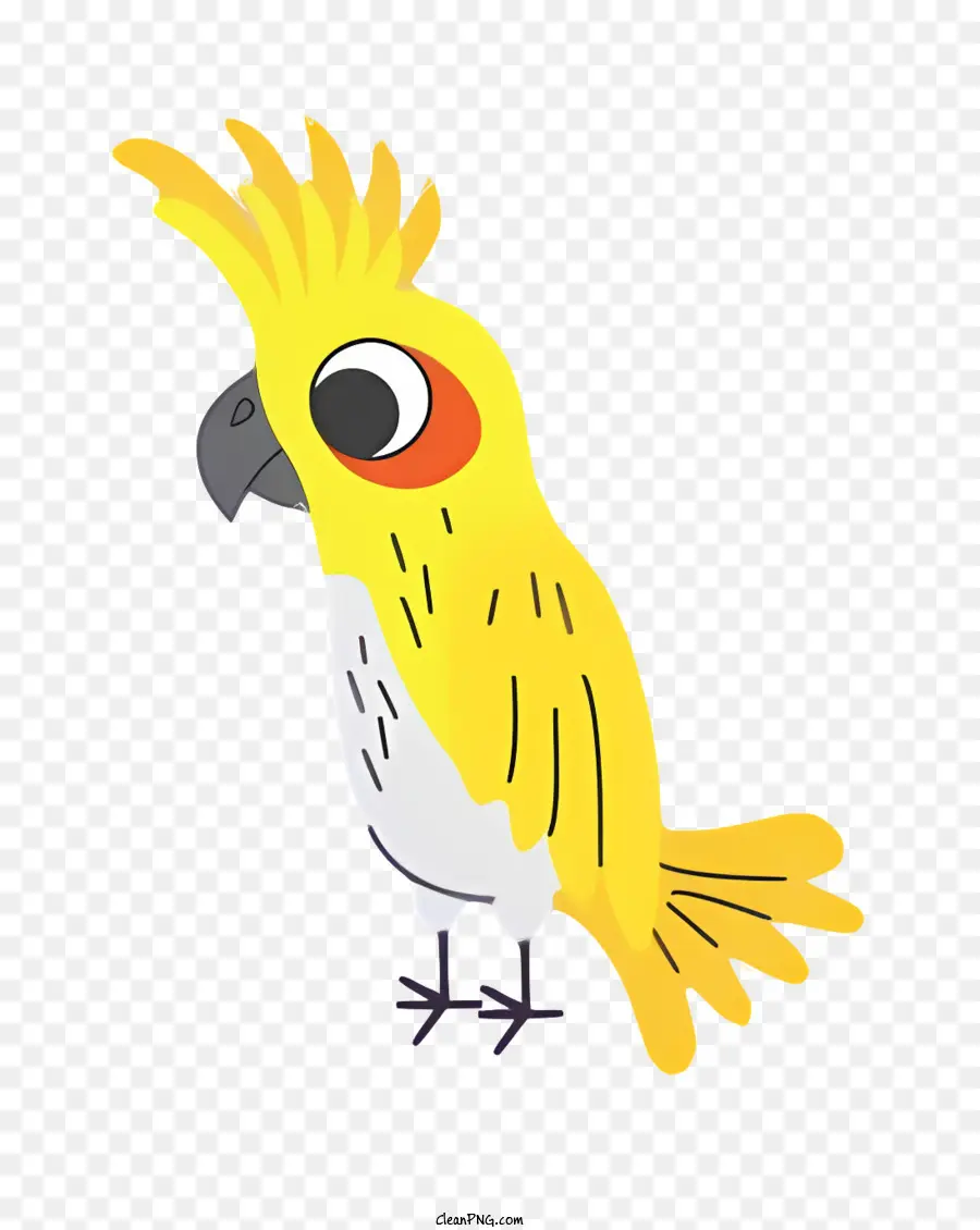 Loro De Pájaros，Amarillo Parrot PNG