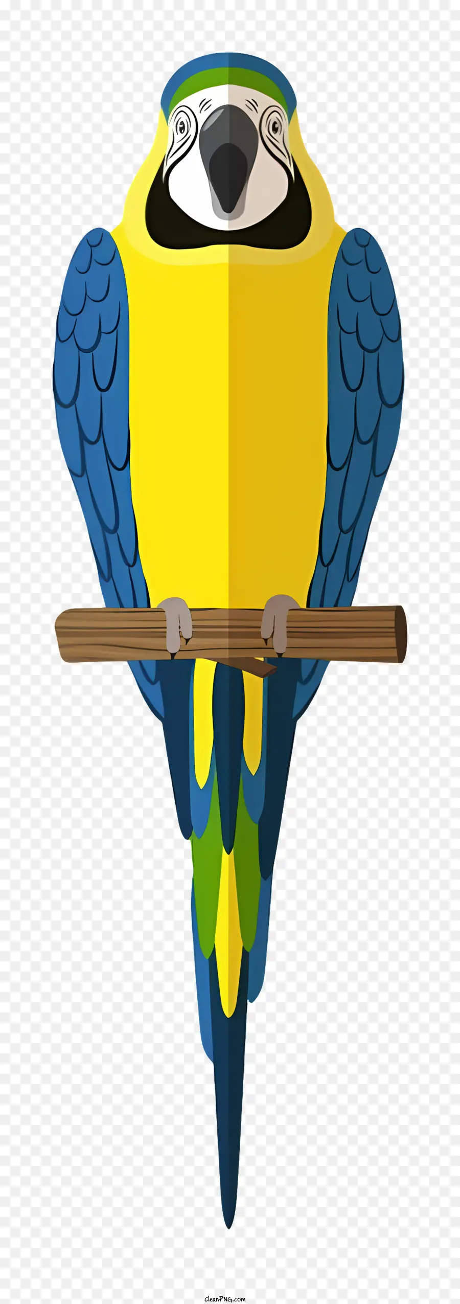 Loro De Pájaros，Loro PNG