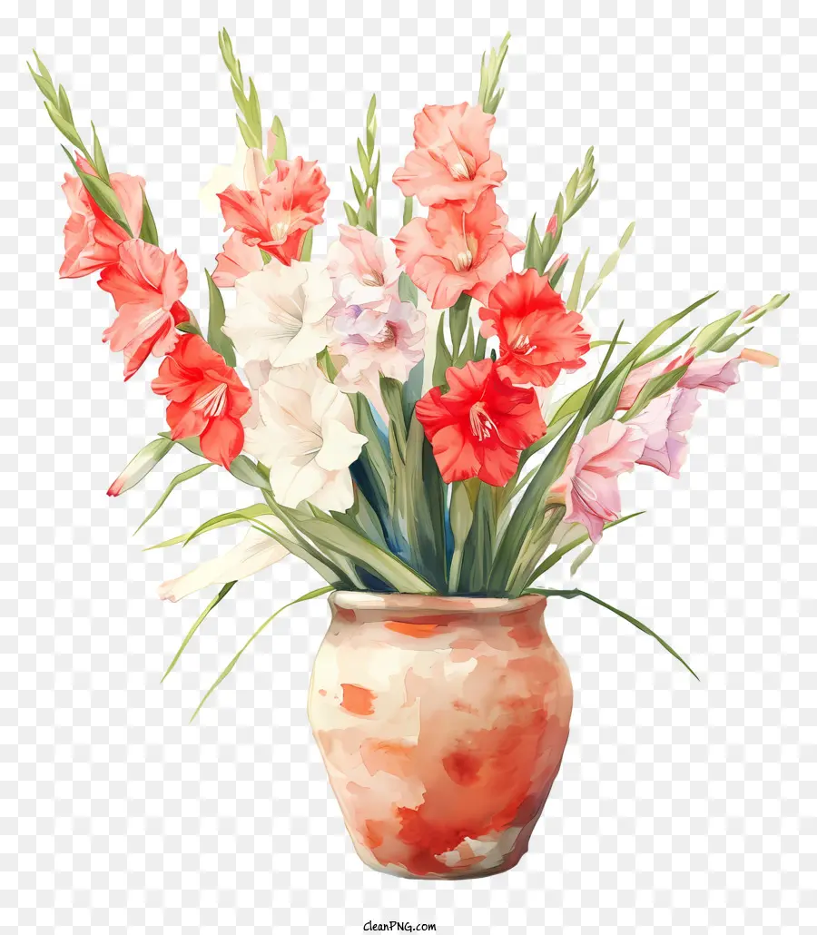 Gladiolo，Florero PNG