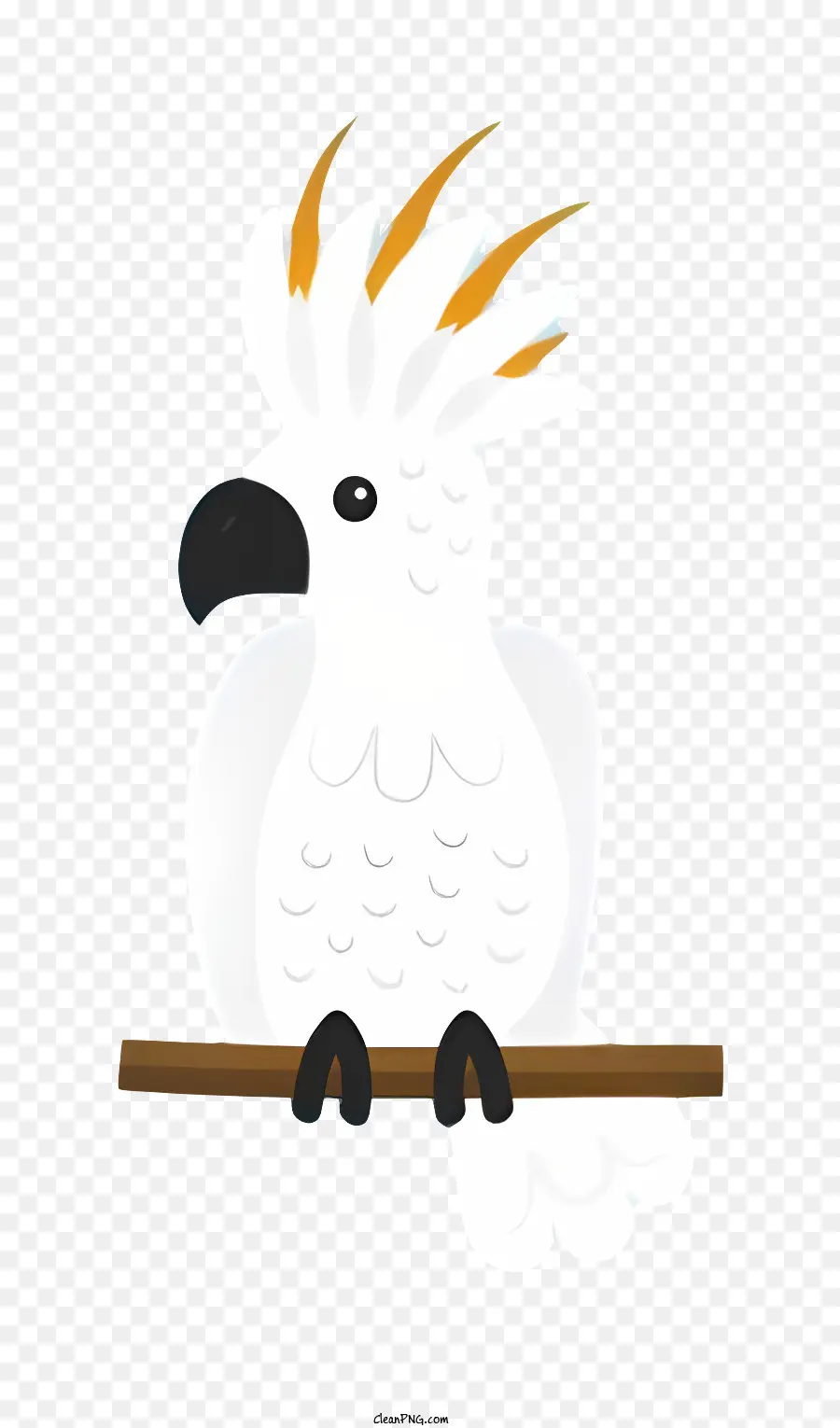 Loro De Pájaros，Cacatúa Blanca PNG