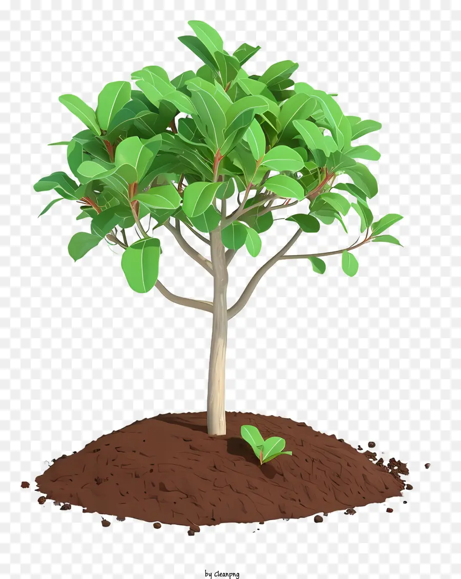 Árbol De Plantación 3d Realista，Árbol Con Raíces Expuestas PNG