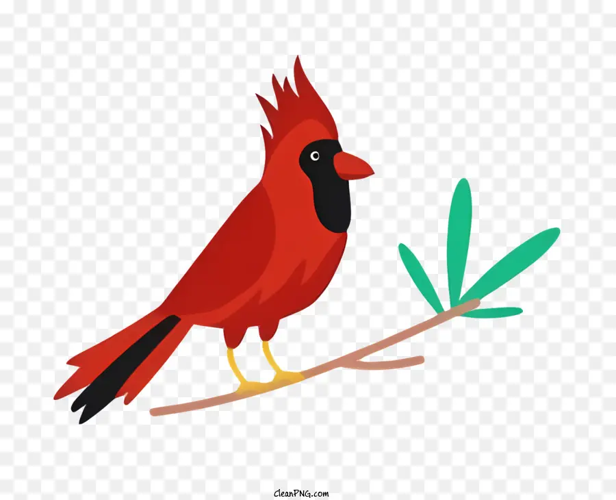 Loro De Pájaros，Cardenal Rojo De Las Aves PNG