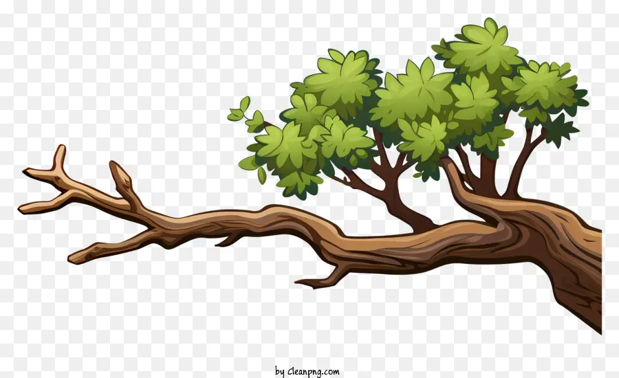 Rama De árbol De Estilo Doodle，Árbol PNG