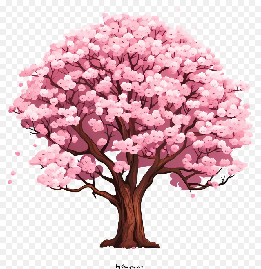 Árbol De Cerezo De Estilo Doodle Style，Flores Rosas PNG