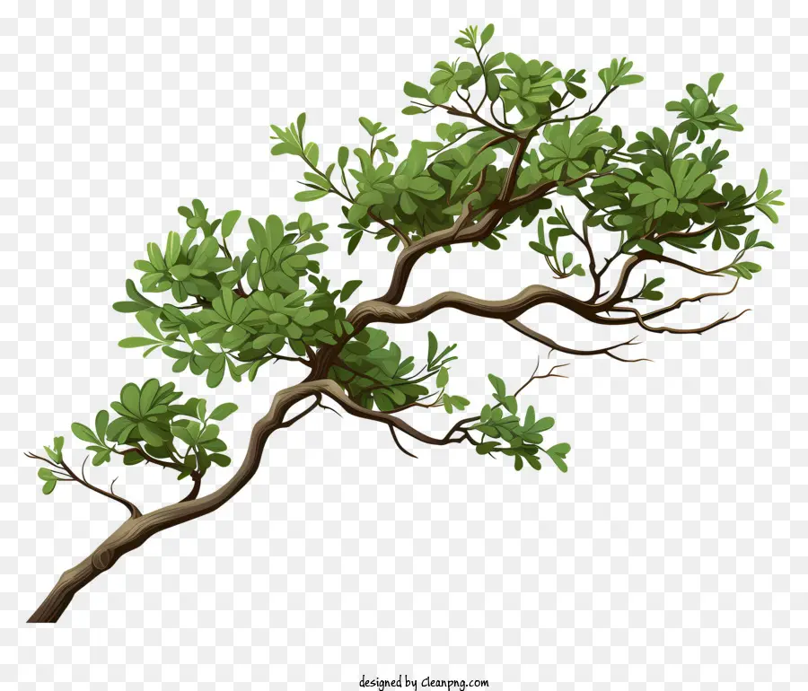 Rama De árbol De Estilo Realista，Rama De árbol Verde PNG