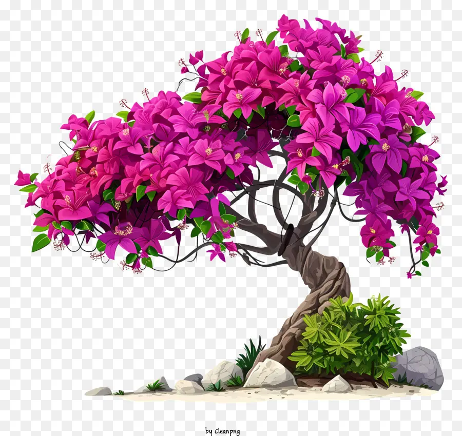 Dibujos Animados Bougainvillea，Árbol De Bougainvilla Rosa PNG