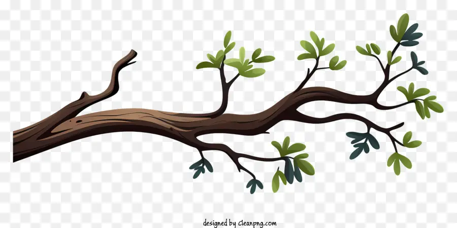 Rama De árbol De Estilo Doodle，Rama De árbol PNG